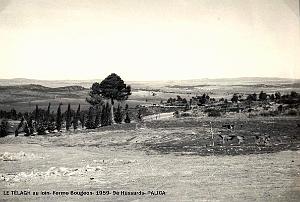Palica - Le Telagh 019